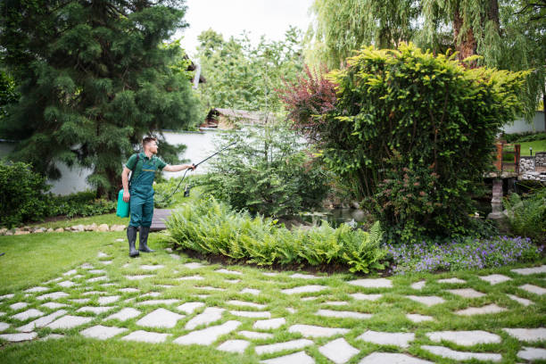 Best Wasp Removal Services  in Flemingsburg, KY